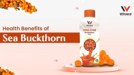 sea buckthorn juice benefits, Noida, India