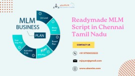 Readymade MLM script in Chennai,Tamil Nadu, Chennai, India