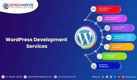 WordPress Plugin & Theme Development, Madurai, India