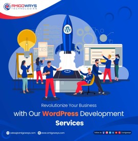 WordPress Plugin & Theme Development, Madurai, India