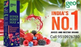 GEO Natural Super Berry Max Juice Concentrate , Ahmedabad, Gujarat