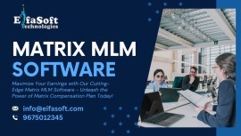 Matrix MLM Plan: A Comprehensive Guide, Etawah, India