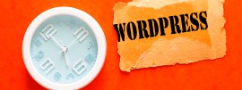 WordPress Development Services in Ahmedabad, Ahmedabad, India
