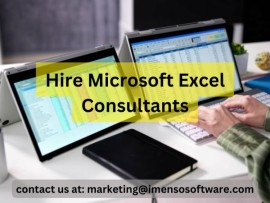 Hire Microsoft Excel Consultants, New York, United States
