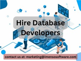Hire Database Developers for Your Project , Gurgaon, India