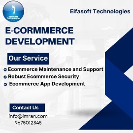  E-commerce Website Development, Bareilly, India