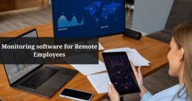 Monitoring software for Remote Employees, Jaipur, India