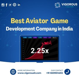 Best Aviator Game Development Company in India, Vaishali Nagar, India