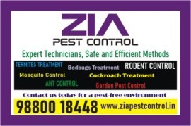 Cockroach OR Bedbug Treatment service price just R, Banaswadi, India