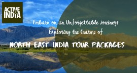 Embark on an Unforgettable Journey: Exploring the , Agonda, India