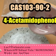 Raw Material High Purity Powder Paracetamol CAS 10