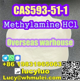 Methylamine HCl / Methylamine Hydrochloride CAS 59